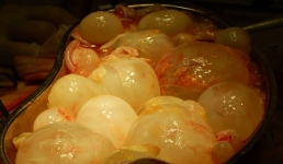 Санэпидемиологи Мангистау предупредили владельцев собак