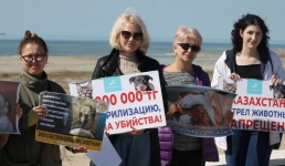 Эвтаназия – вынужденная мера? На митинге в Актау зоозащитники выступили против поправок в закон