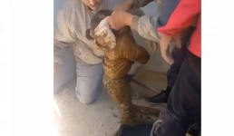 В Мангистау двухлетний ребенок провалился в уличный туалет