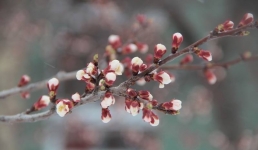 Синоптики обещают потепление в Актау