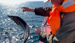 В казахстанском секторе Каспия пограничники задержали более полутора тысяч нарушителей