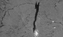 В Каспийском море обнаружили нефтяной разлив