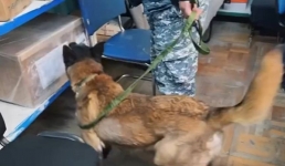 Полиция Мангистау провела обыск в отделении «Казпочты»