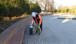 В Актау работники коммунальной службы вывезли около девяти тонн мусора