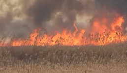 Названа вероятная причина запаха гари в Актау