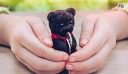 Сколько родителей Павлодарской области имеют долги по алиментам