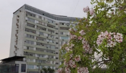 Время раздеваться: какая погода ожидает жителей Мангистау на выходных