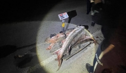 В Мангистау за 12 дней по фактам браконьерства возбуждено 18 уголовных дел