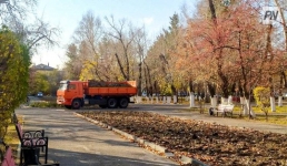 Павлодарская область поддержала республиканскую акцию чистоты