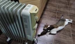 В Актау с сегодняшнего дня начнут отключать отопление