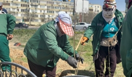 Аким Актау проверил ход работы по озеленению