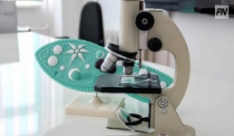 Павлодарские школьники соревновались в знаниях по биологии