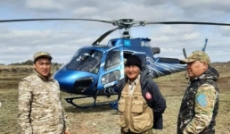 В Павлодарской области пересчитали сайгаков