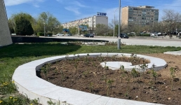 У Вечного огня в Актау высадили чайные розы