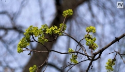 В Павлодарской области спрогнозировали тёплые выходные