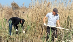 «Чистота начинается с себя»: масштабная экоакция «Таза Қазақстан» проходит в Актау