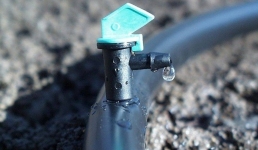 Пустая трата денег: систему капельного полива в Актау раскритиковал депутат