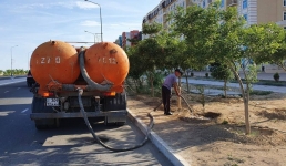 В Актау планируют поливать деревья с использованием воды из центральной системы водоснабжения