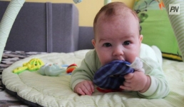 В Павлодаре устроят малышиные бега