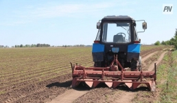 Какую погоду ожидать павлодарским аграриям на посевную?