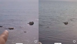 Продолжает прибывать: житель Актау фиксирует повышение уровня Каспия