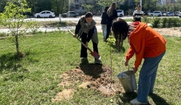 В Актау геологи посадили деревья в рамках акции «Таза Казахстан»