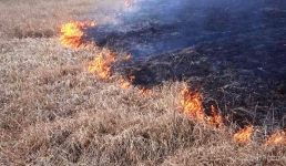 Горячий прогноз: высокая пожарная опасность ожидается в Мангистау