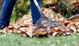 Павлодарцев пригласили на субботник