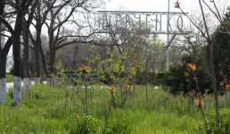 Какая погода ожидает актаусцев на праздник