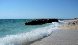 Компания из Швейцарии планирует производить тоннами осетровую икру в Мангистау
