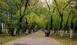 В Павлодаре возродят этносквер