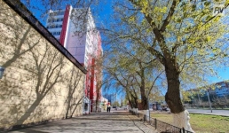 Небольшой дождь ожидают в Павлодарской области 3 мая