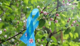 В Павлодаре исполнят военные песни с боевым построением