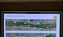 В Павлодарской области проследят за главными комариными «инкубаторами»