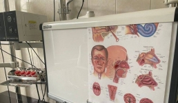 Тревожный звонок для носа: когда павлодарцам следует удалять аденоиды