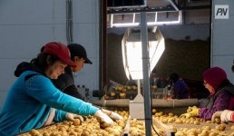 Где павлодарские подростки могут работать во время летних каникул