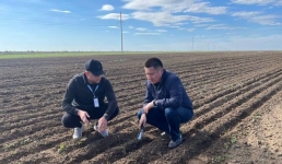 Высокий показатель влагонасыщения почвы отмечают павлодарские аграрии