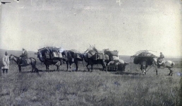 Павлодарцам покажут серебряные фотографии этнографа-петербуржца