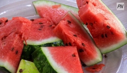 Как защититься от нитратов, расскажут в Павлодаре