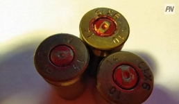 Жителя Павлодарской области осудили из-за убитой косули