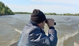 В Павлодарской области поймали первых нарушителей запрета на рыбалку