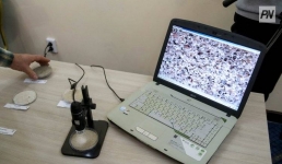 Павлодарские учителя провели интерактивные уроки