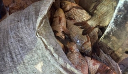 В Павлодарской области задержали рыбаков-браконьеров