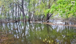Более ста жителей Павлодарской области очистили берег Иртыша