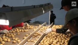 Когда павлодарцы смогут почувствовать хруст родных чипсов