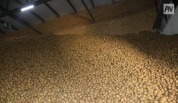 Как государство поддерживает павлодарский кулинарный бренд