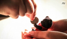 В Павлодаре отцы задолжали детям миллионы