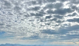 В Павлодарской области организовали антикоррупционную школу