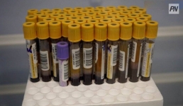 Как павлодарцы могут получить отгул с работы