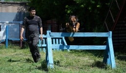 Искать следы и не есть на работе: как живёт в Павлодаре собачий патруль